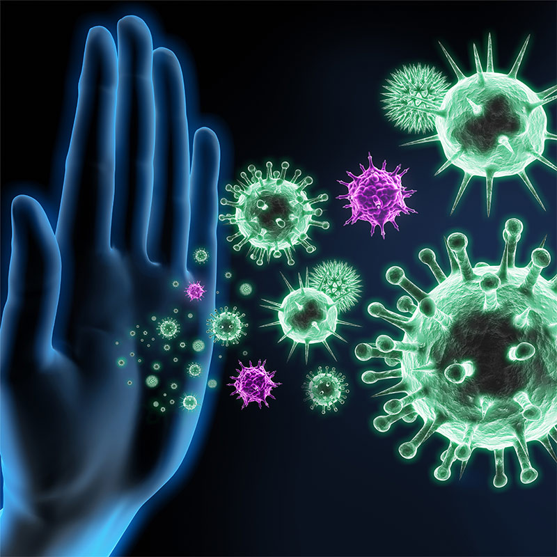 Infecciones y virus